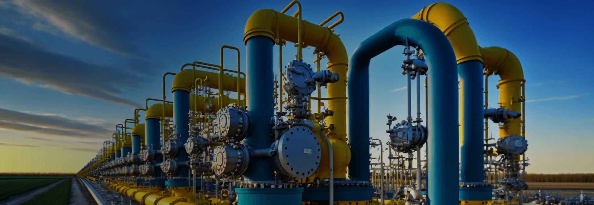 Natural gas industry